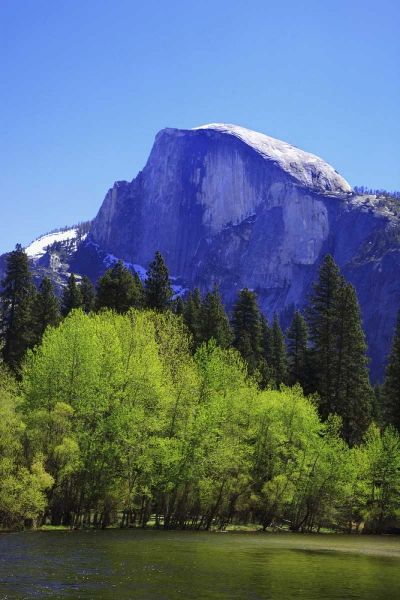CA, Yosemite Half Dome rock and Merced River